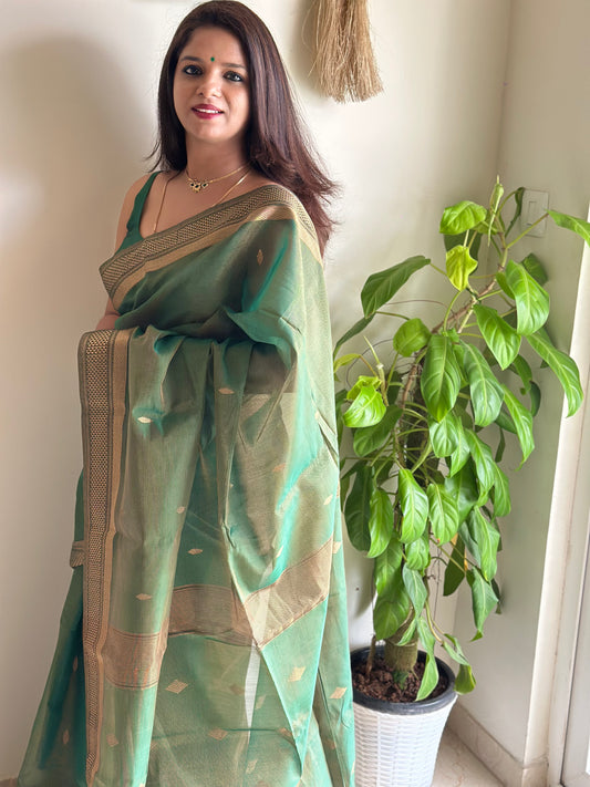 Green tissue Maheshwari6