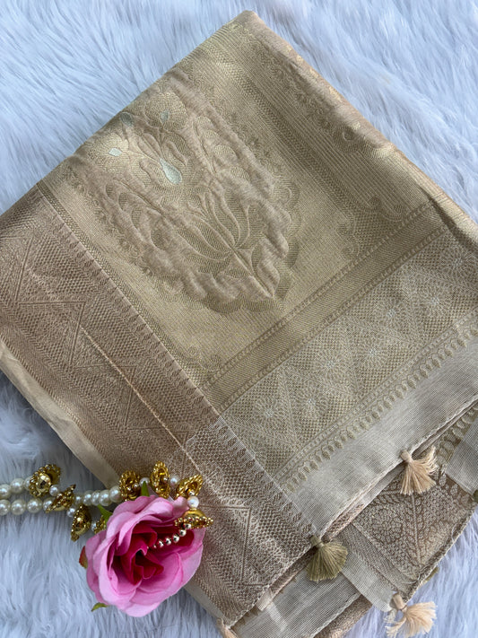 Ivory banarasi organza 34