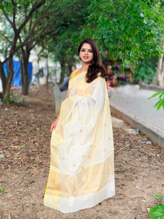 Neeta Sindo Off-White Cotton Silk Saree